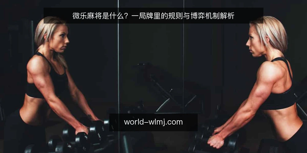 微乐麻将是什么?一局牌里的规则与博弈机制解析 — 定义:微乐麻将是什么 配图
