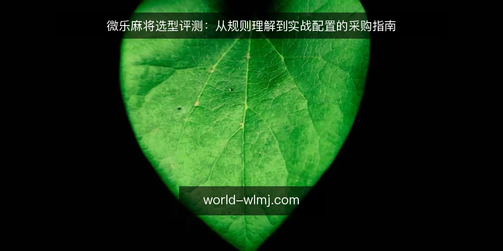 微乐麻将选型评测：从规则理解到实战配置的采购指南 — 明确你的实战需求 配图