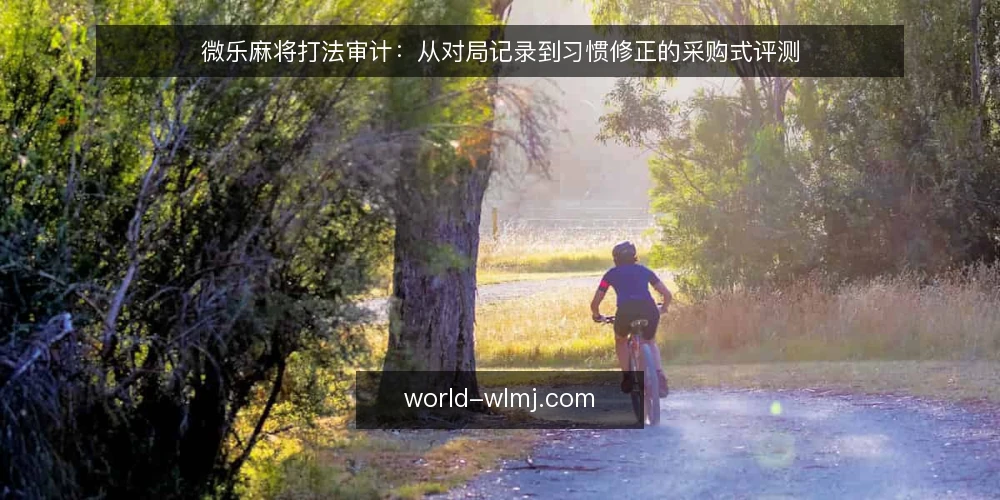 微乐麻将打法审计:从对局记录到习惯修正的采购式评测 — 为什么现在要给打法做一次审计 配图