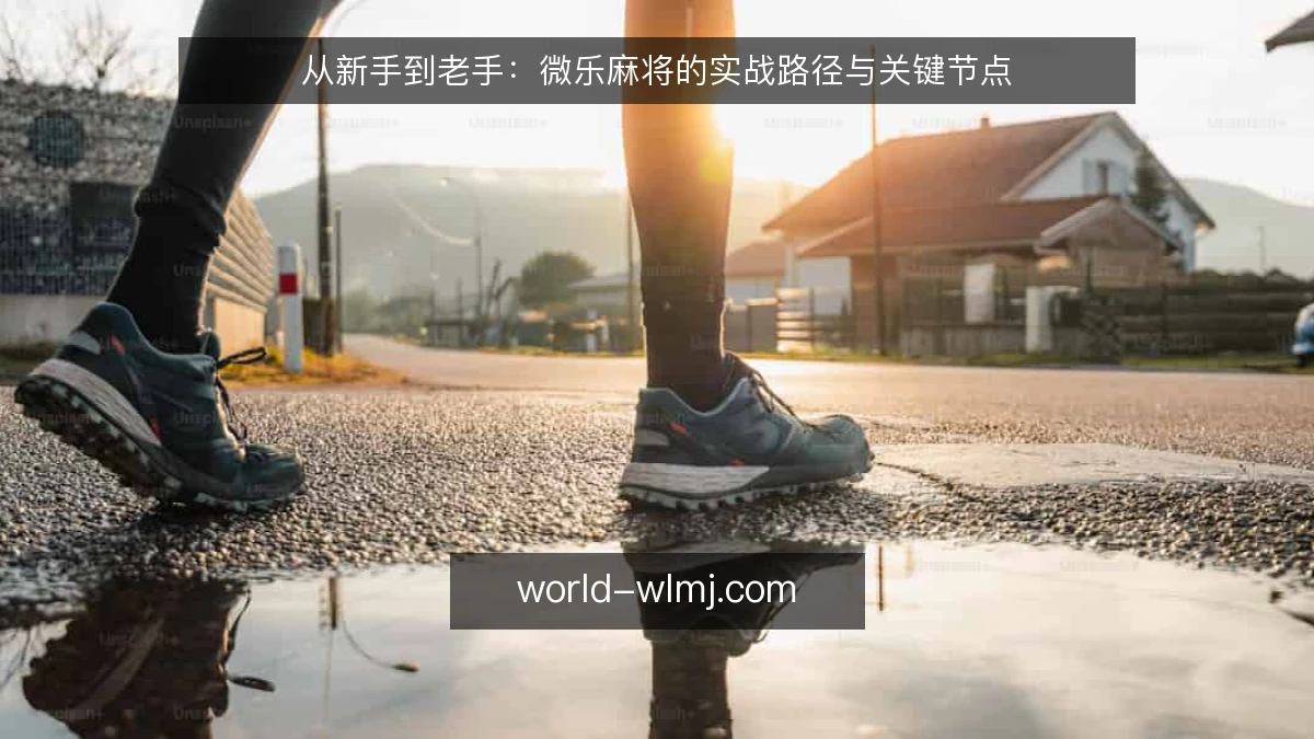 从新手到老手：微乐麻将的实战路径与关键节点