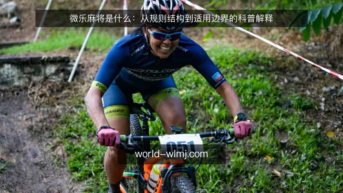 微乐麻将是什么:从规则结构到适用边界的科普解释