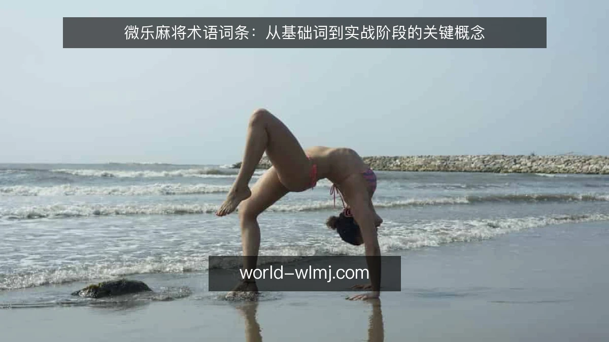 微乐麻将术语词条：从基础词到实战阶段的关键概念