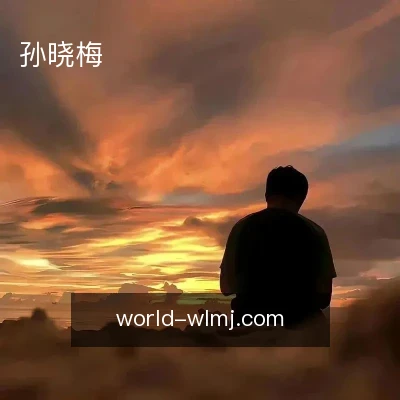孙晓梅